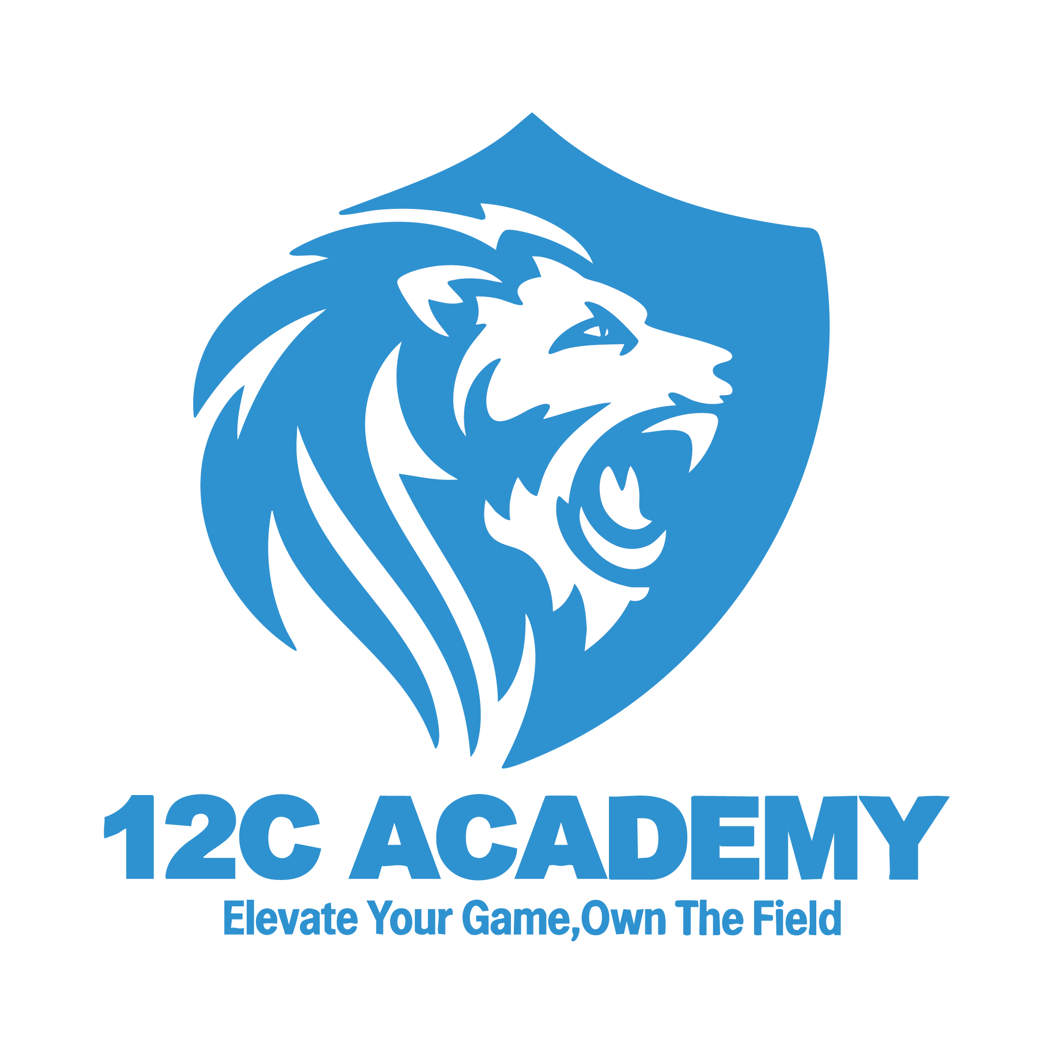 12C ACADEMY logo
