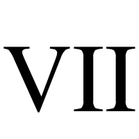 Team 7 logo